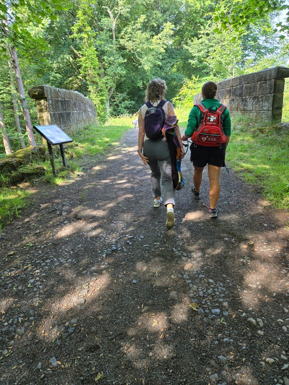 Grief support group walking through a quiet woodland path